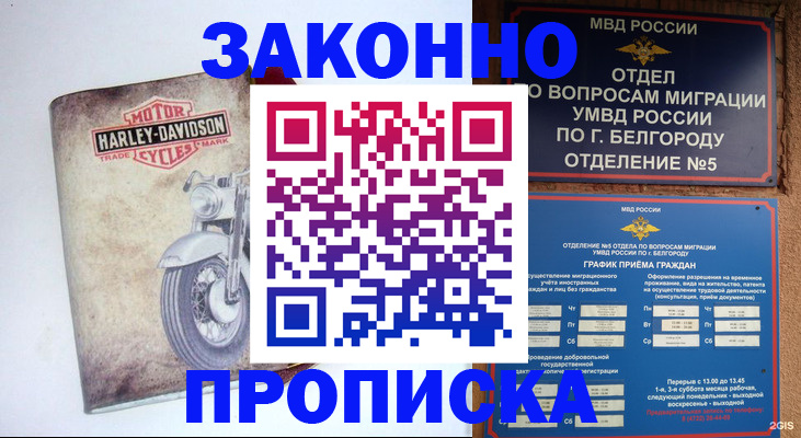 прописка для школы в Грязовце
